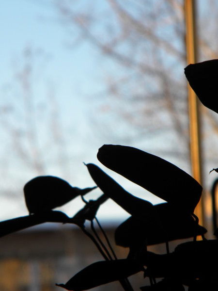 Юля Соломаха