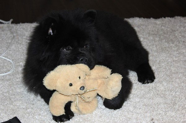 Ирина Литвинова