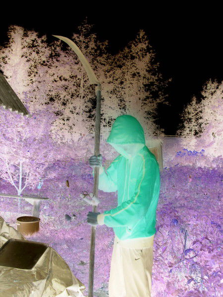 Дмитрий Данилов