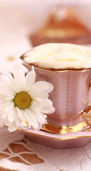 Алина Горбачова