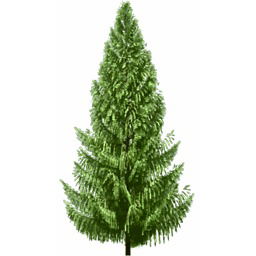 Борис Пузырёв