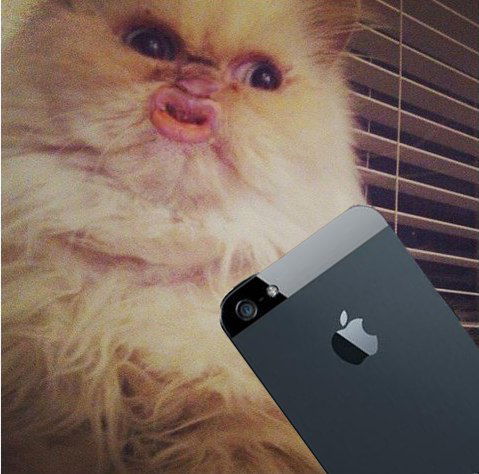 Женя Тигрова