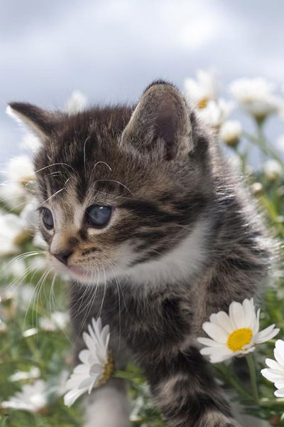 Ильнур Хасаншин