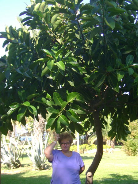 Тамара Тебенькова