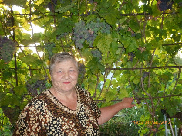 Галина Кравченко