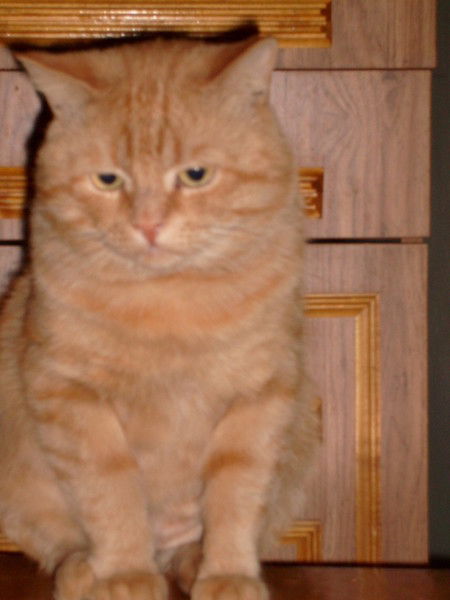 Татьяна Чуракова