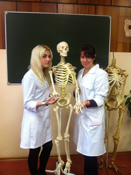 Александра Книга