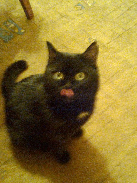 Cергей Андреев