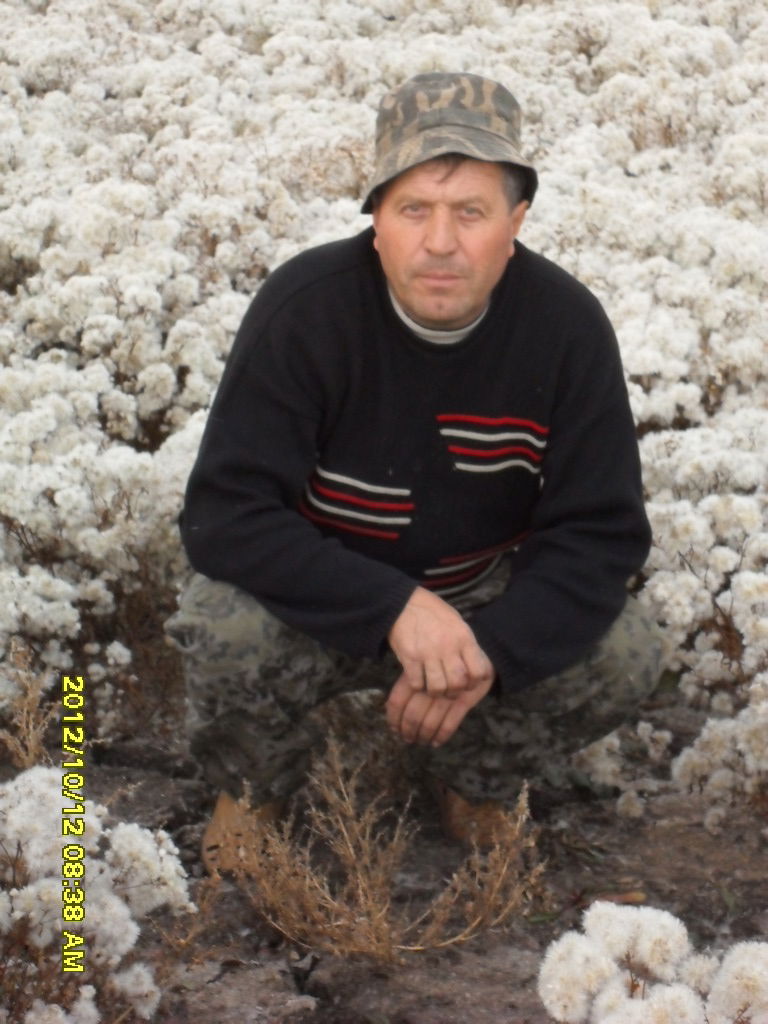 Вячеслав Цыс