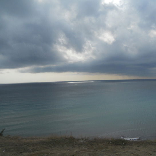 Елена Грибаева