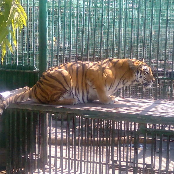 Неважно Неважно