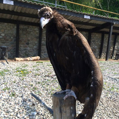 Жомарт Байтемиров