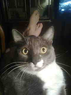 Виктор Виктор