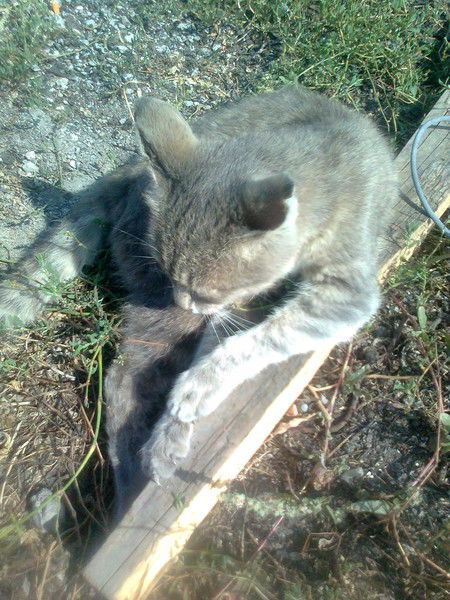 Ринат Ширмолдин