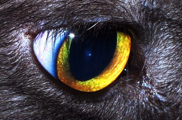 Валентина =))