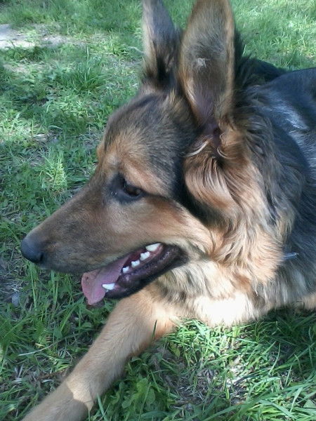 Ольга Новожилова