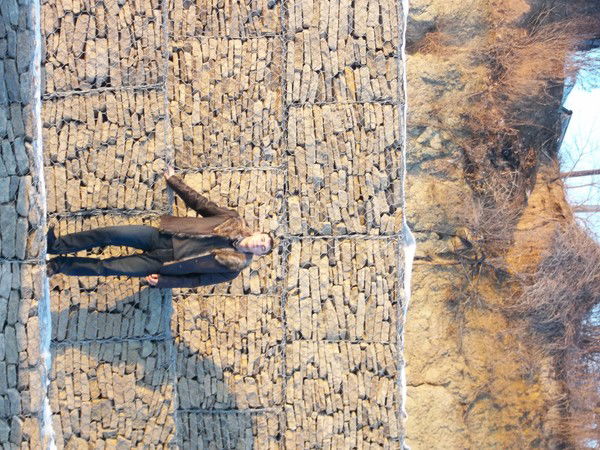 Иван Нагибин