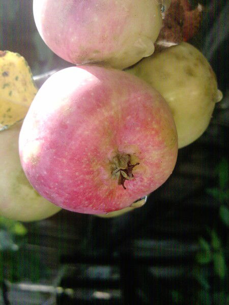 Татьяна Крючкова