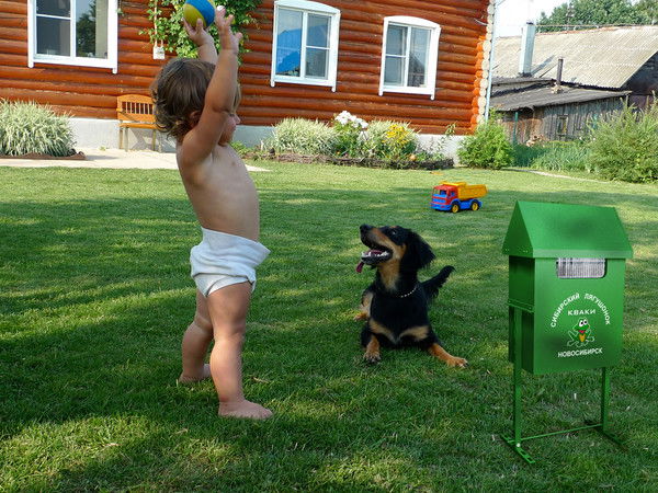 Комаров Нет