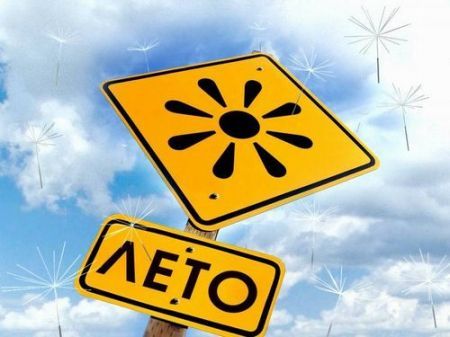 Елена Халикова