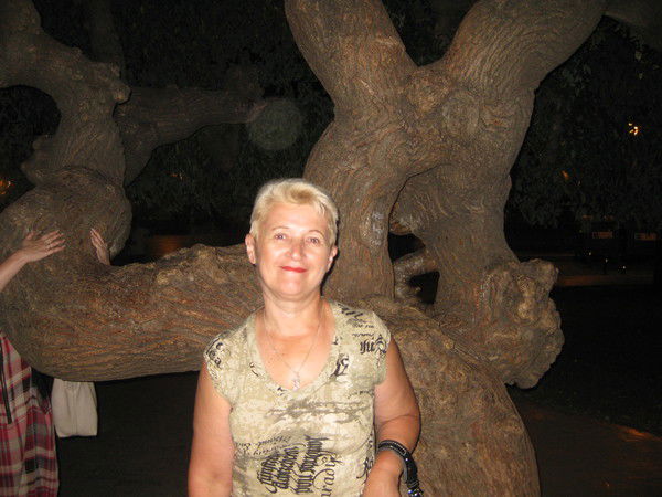 Елена Ляшук