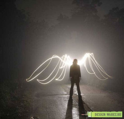 Алексей Сергеев