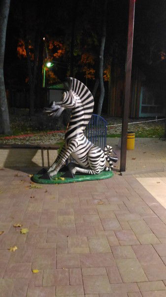 Алена Алена