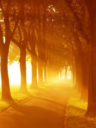 Алина Брейнингер