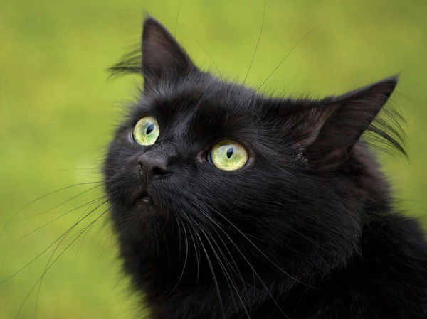 Андрей Дёмин