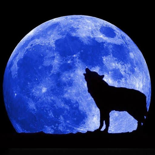 Наталия Бараниченко