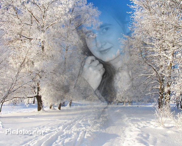 Анна Сологуб