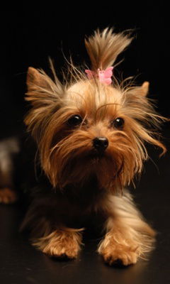 Ирина Галимзянова