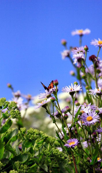 Надежда Лукина