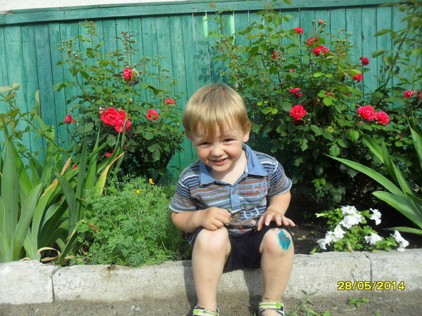 Лилия Шашкина