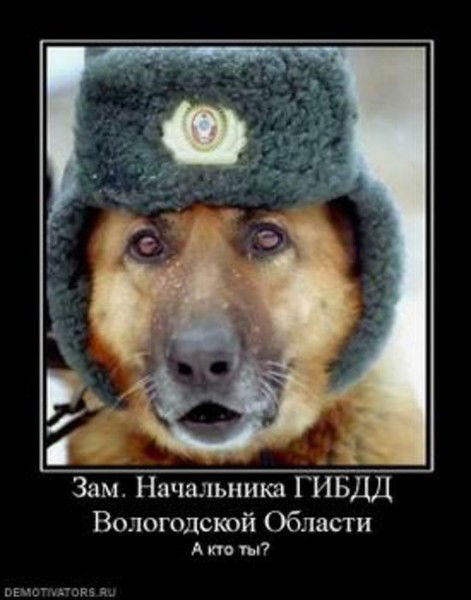 Владимир Кузнецов