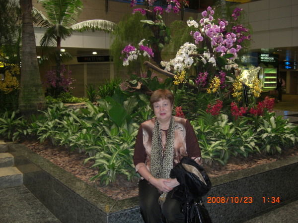 Людмила Ткачева