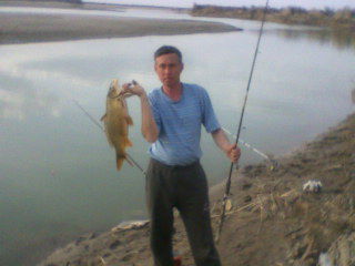 Александр Шатохин