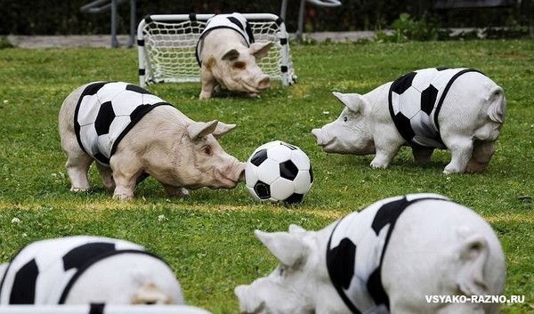 Анвар Мамедов