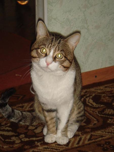 Ольга Житенева