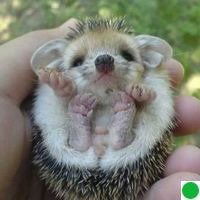 Василий Ползунов