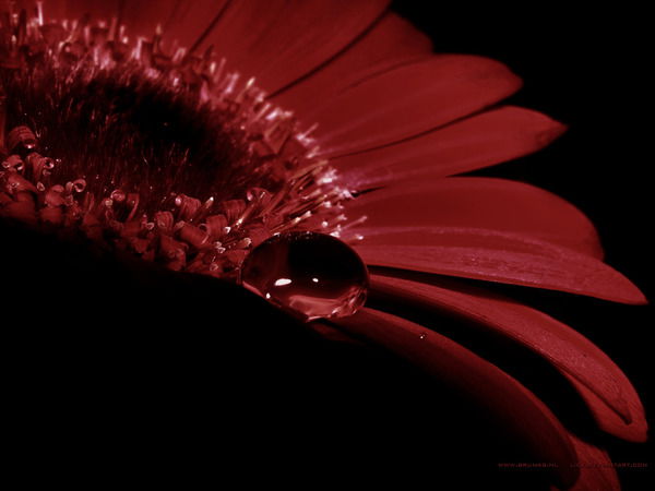 Валентина С