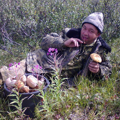 Что означает шемякин суд в наше время