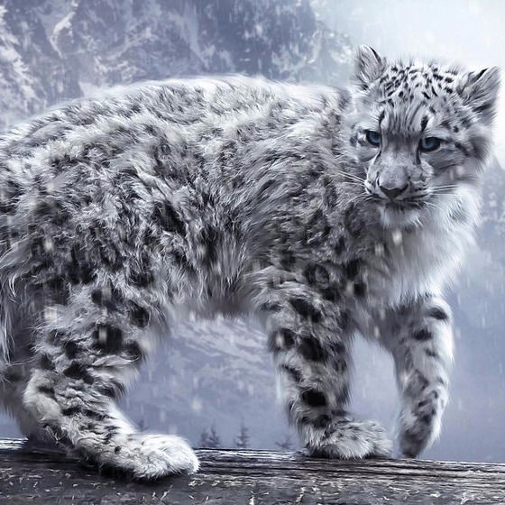 Александра Арбатова