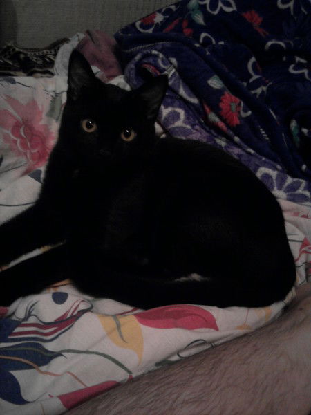 Ольга Крупникова