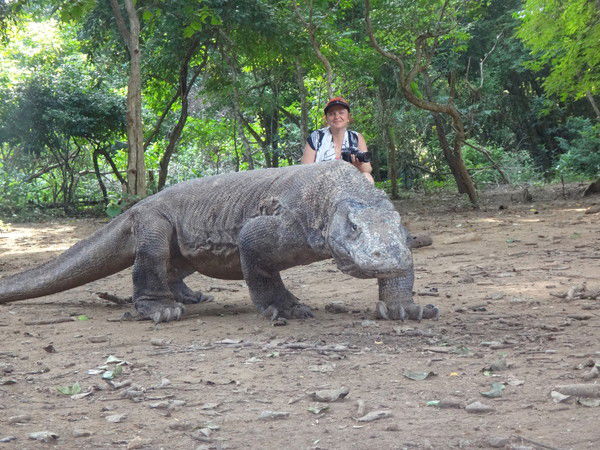 Елена Майорова