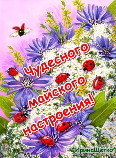 Катерина Старикова