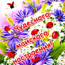 Катерина Старикова