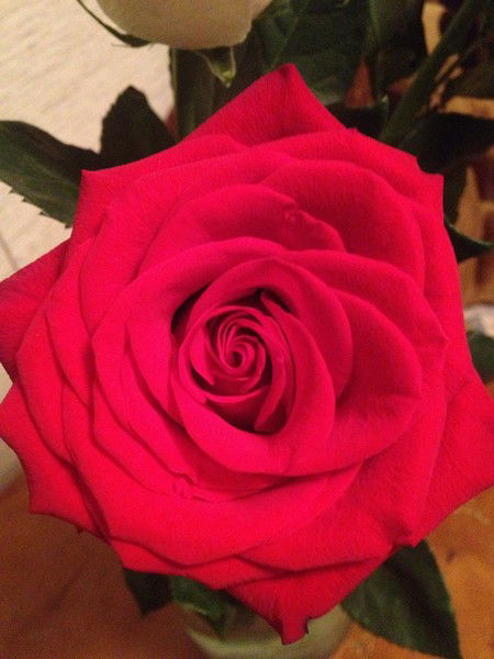 Лиза Ракишева