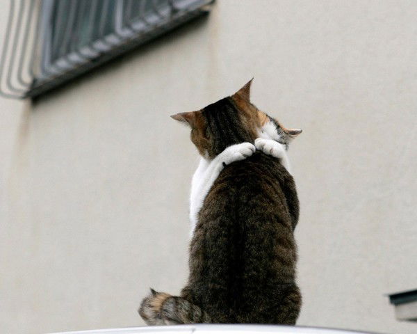 Оксана Антипина