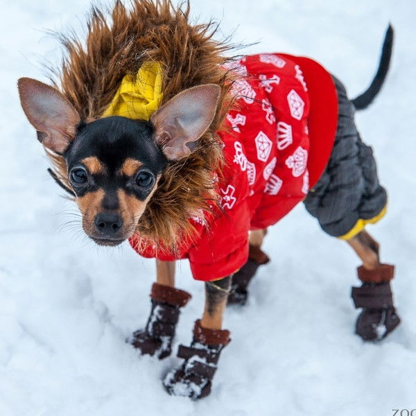 Оптимал Оптимал